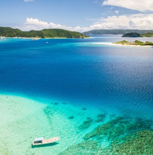 SFAM - assurance drones